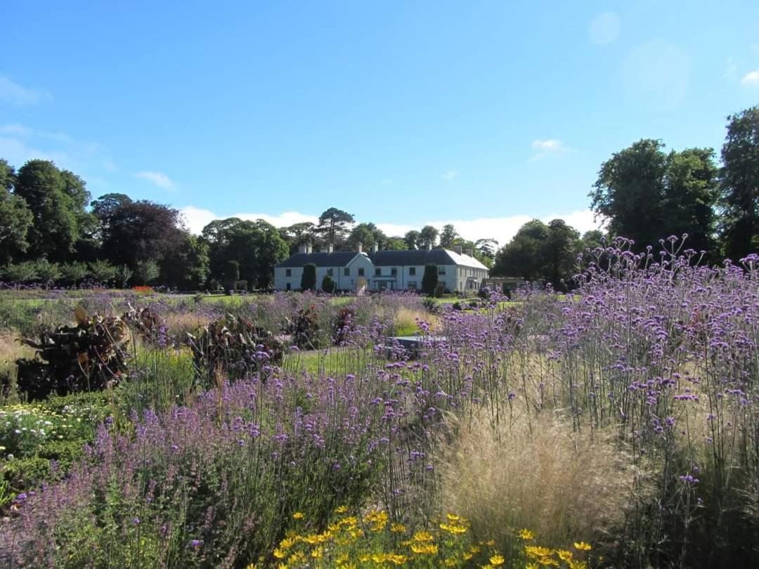 Home Comforts Castleisland Exterior foto